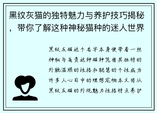 黑纹灰猫的独特魅力与养护技巧揭秘，带你了解这种神秘猫种的迷人世界